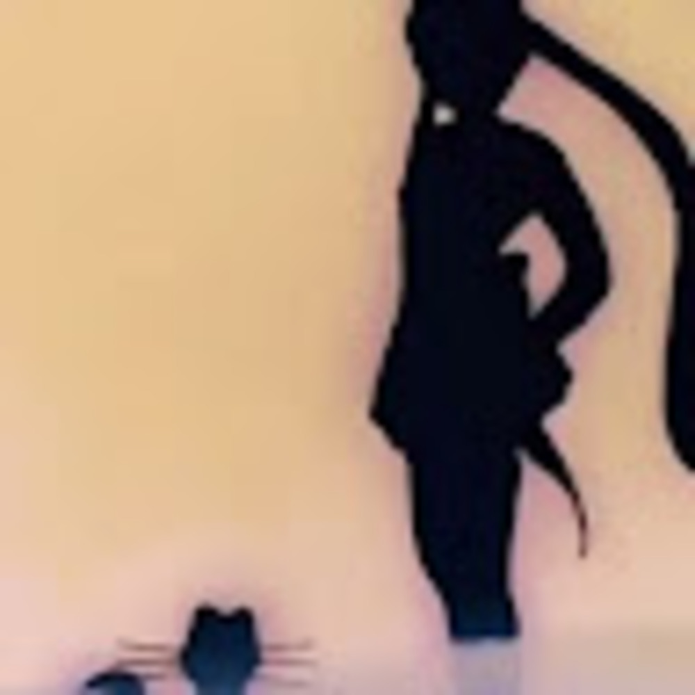 Meet your Posher, Angela